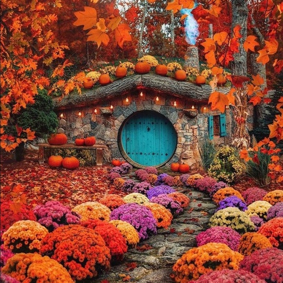 Meet your Posher, Kristie - Picture 1 of 1